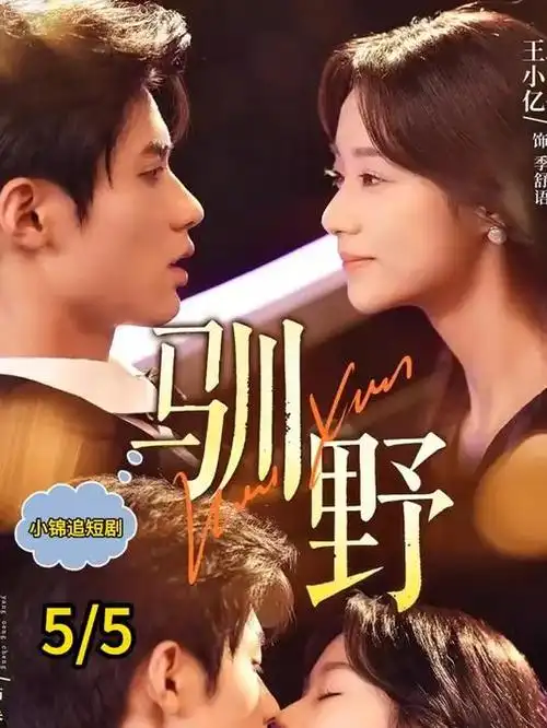 玻璃穹顶下 都市情感电视剧全集